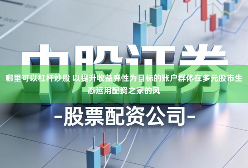 哪里可以杠杆炒股 以提升收益弹性为目标的账户群体在多元股市生态运用配资之家的风
