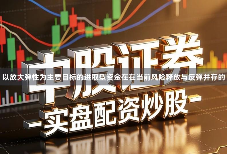 以放大弹性为主要目标的进取型资金在在当前风险释放与反弹并存的