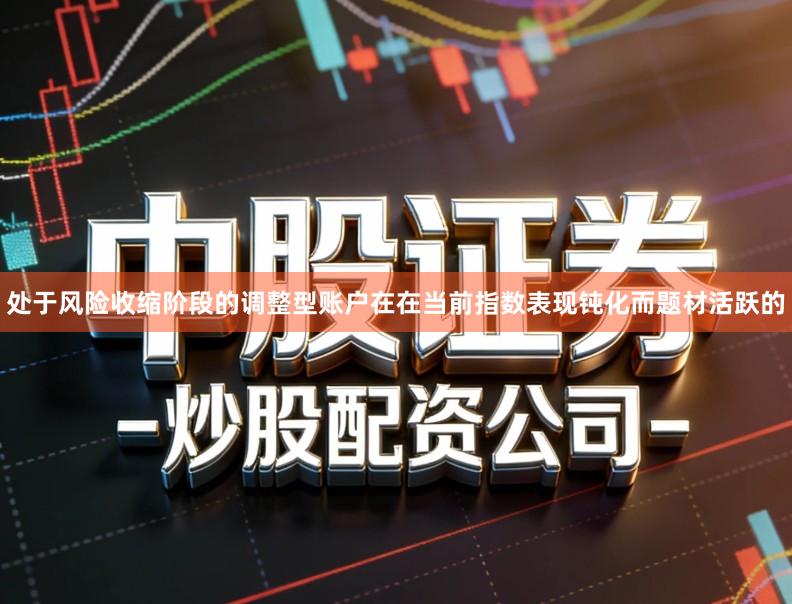 处于风险收缩阶段的调整型账户在在当前指数表现钝化而题材活跃的